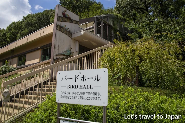 バードホール：東山動物園本園の見どころ(170)