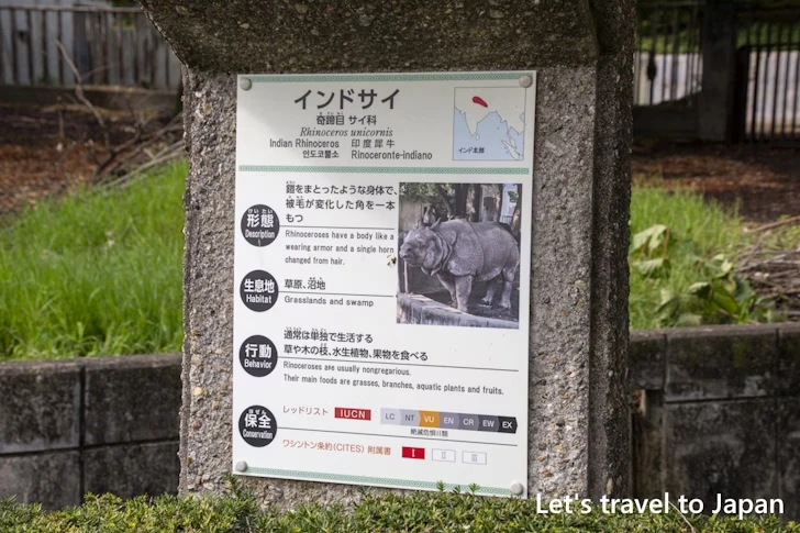 インドサイ：東山動物園本園の見どころ(18)