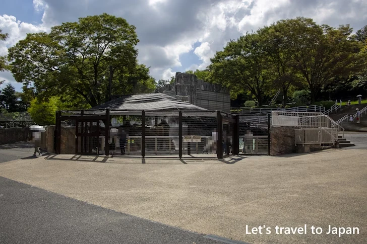 ペンギン：東山動物園本園の見どころ(182)