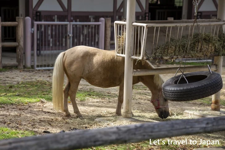 こども動物園：東山動物園本園の見どころ(222)