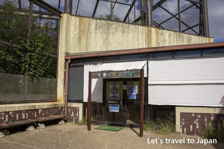 小鳥とリスの森：東山動物園本園の見どころ(225)