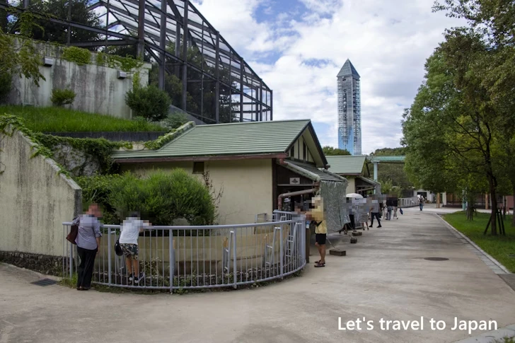 日本産動物舎：東山動物園本園の見どころ(230)