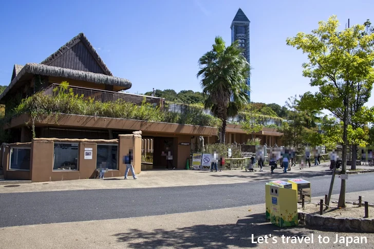 アジアゾウ：東山動物園本園の見どころ(24)