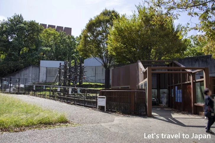 ホンドサル：東山動物園本園の見どころ(249)