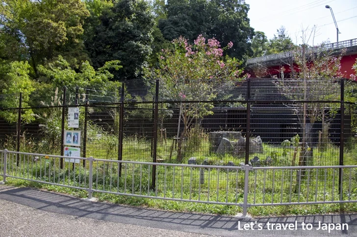 ニホンカモシカ：東山動物園本園の見どころ(261)