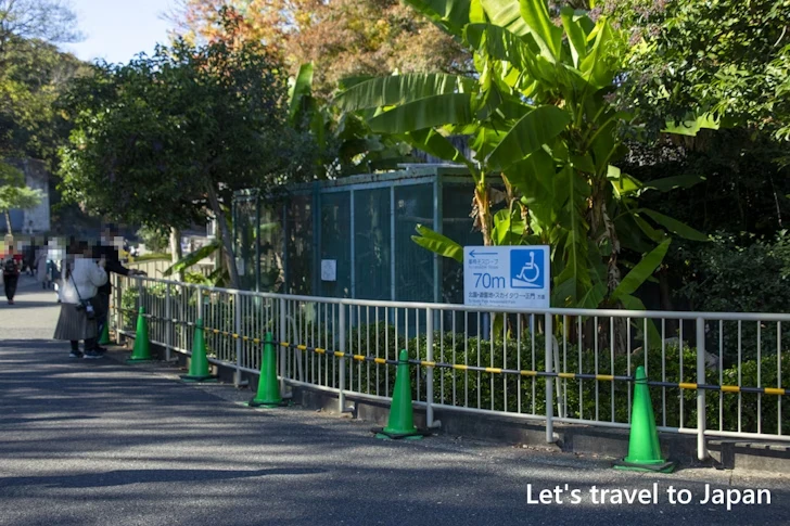 小型インコ舎：東山動物園本園の見どころ(266)