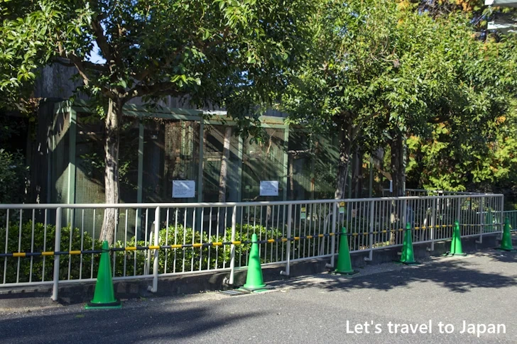 小型インコ舎：東山動物園本園の見どころ(267)