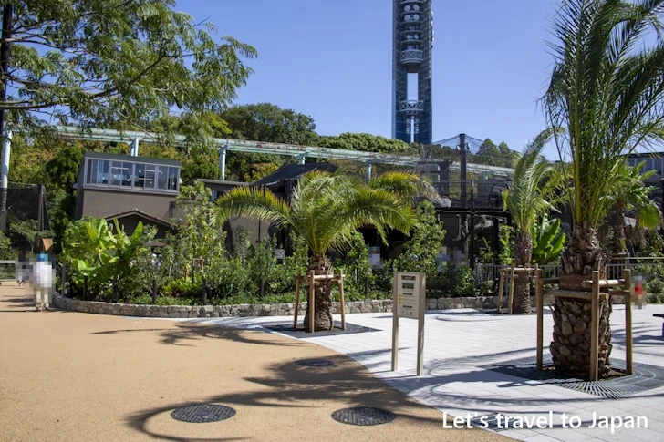 スマトラトラ：東山動物園本園の見どころ(87)