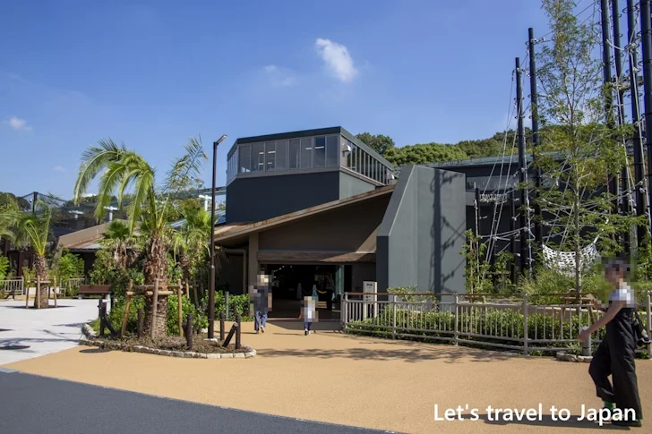 スマトラオランウータン：東山動物園本園の見どころ(97)