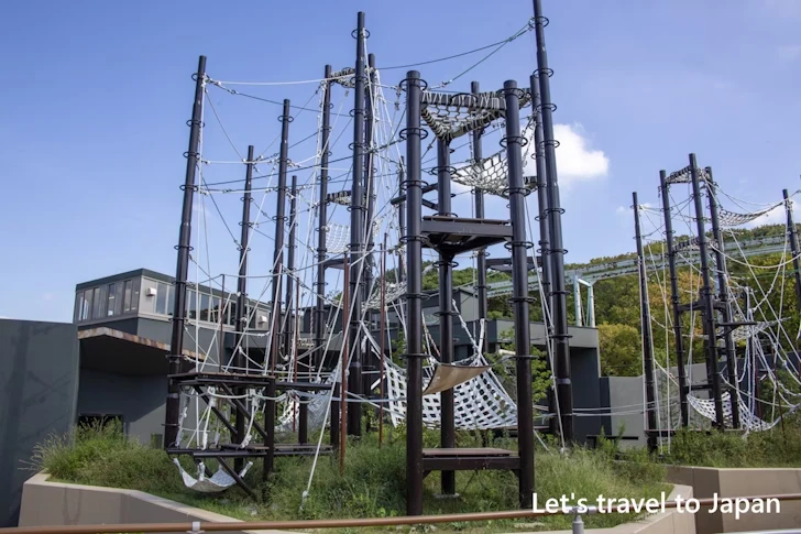 スマトラオランウータン：東山動物園本園の見どころ(98)