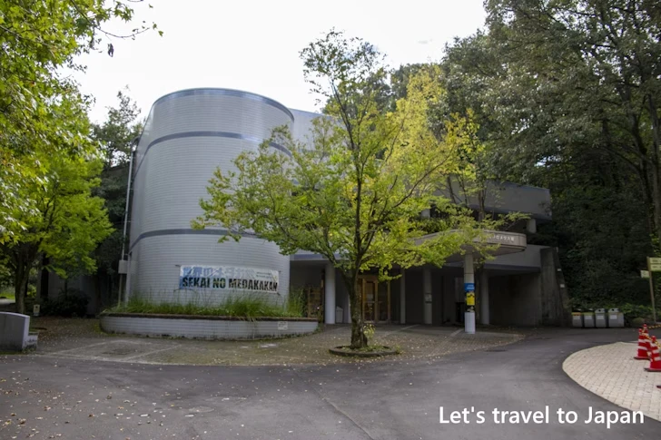 世界のメダカ館：東山動物園北園の見どころ(147)