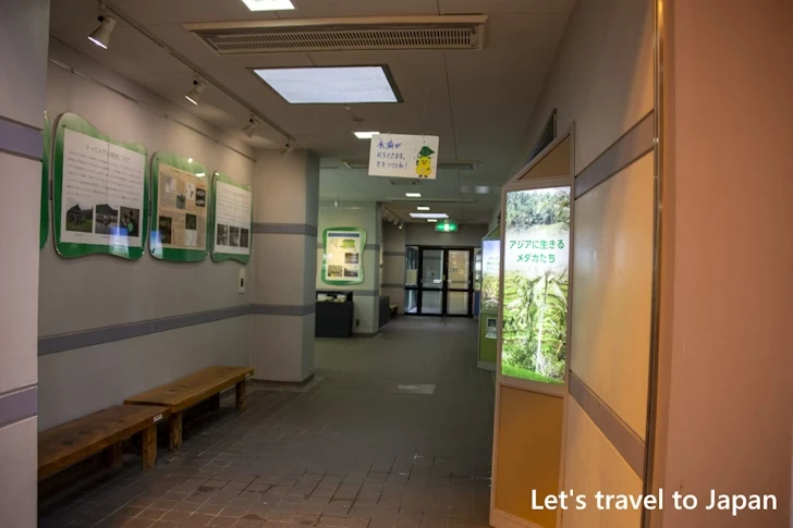 世界のメダカ館：東山動物園北園の見どころ(155)