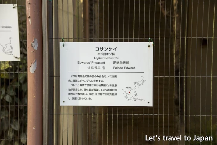 コサンケイ：東山動物園北園の見どころ(200)