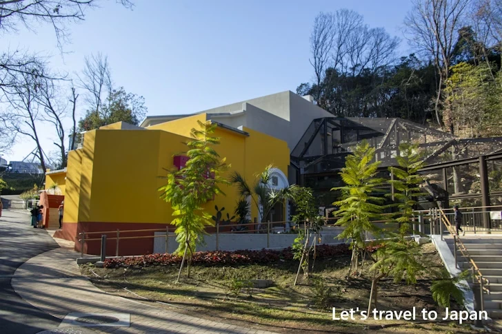 ジャガー：東山動物園北園の見どころ(203)
