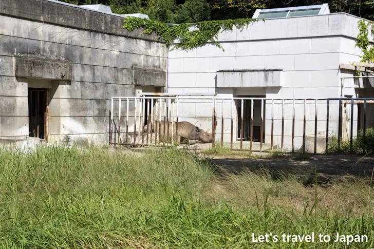 クロサイ：東山動物園北園の見どころ(29)