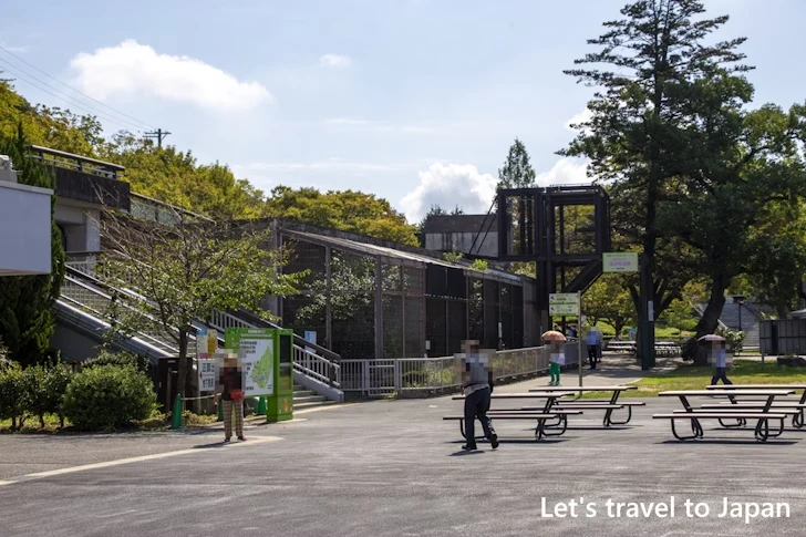 動物園北園の行き方：東山動物園北園の見どころ(3)