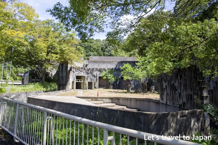 アフリカゾウ：東山動物園北園の見どころ(36)