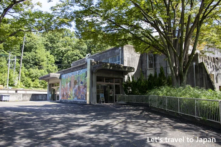 アフリカゾウ：東山動物園北園の見どころ(39)