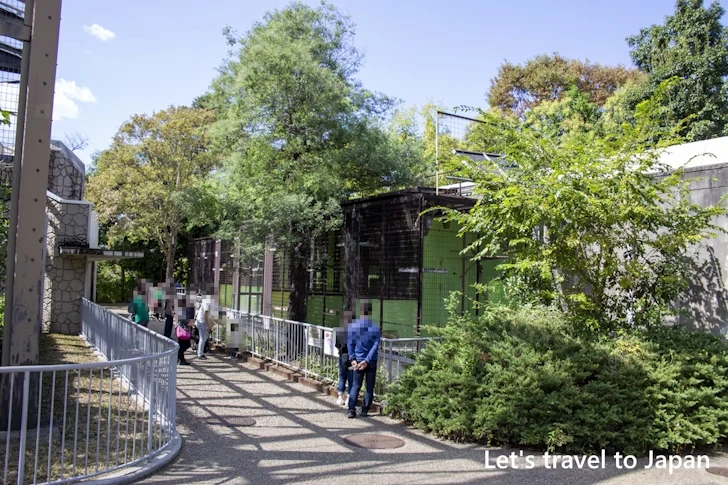 サル舎：東山動物園北園の見どころ(47)