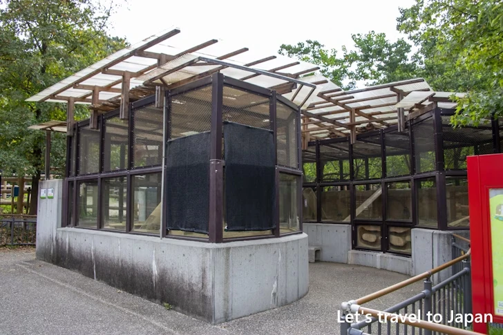 オグロプレーリードッグ：東山動物園北園の見どころ(71)