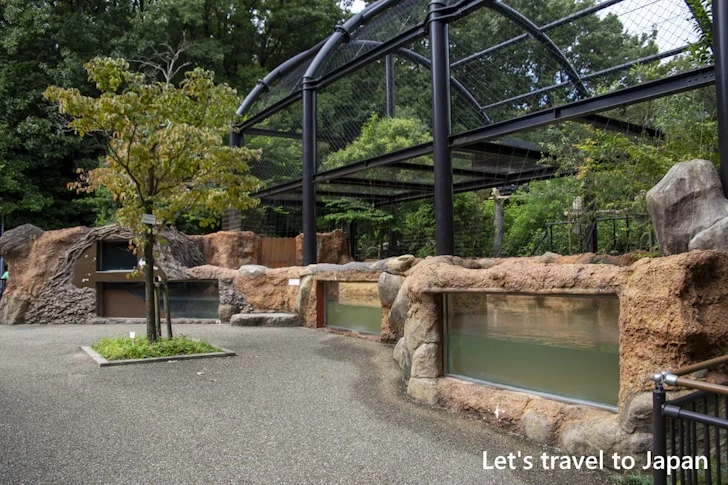 アメリカビーバー：東山動物園北園の見どころ(93)