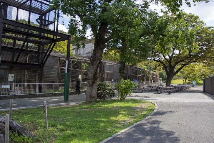 クマ舎および食肉小獣舎前のベンチ：東山動植物園のフードコート・カフェ/お土産ショップ/休憩所の完全ガイド(23)