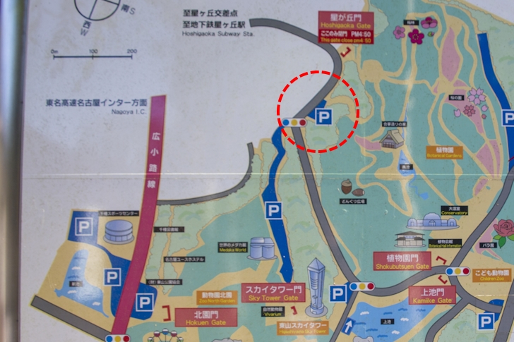 Hoshigaoka Parking: Complete guide to parking at Higashiyama Zoo and Botanical Garden(23)