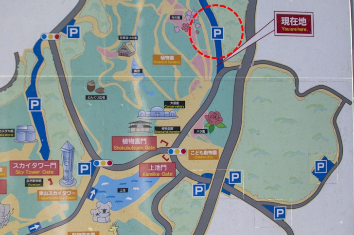 Shokubutuen-higashi Parking: Complete guide to parking at Higashiyama Zoo and Botanical Garden(26)