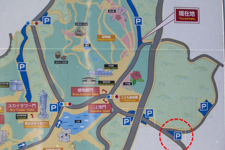 Midoribashi-minami Parking: Complete guide to parking at Higashiyama Zoo and Botanical Garden(40)
