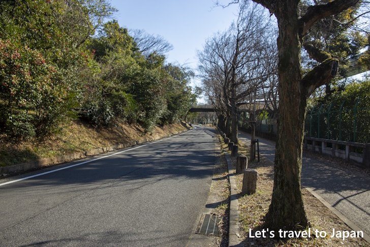 東山動植物園周辺の道路への路上駐車について：東山動植物園の駐車場完全ガイド(53)