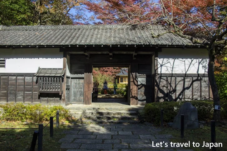 武家屋敷門あたりの紅葉：東山動植物園の紅葉の見どころ完全ガイド(16)