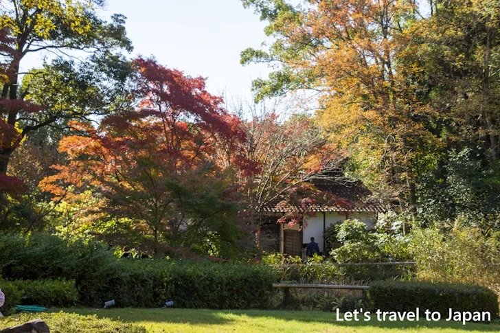 武家屋敷門あたりの紅葉：東山動植物園の紅葉の見どころ完全ガイド(17)