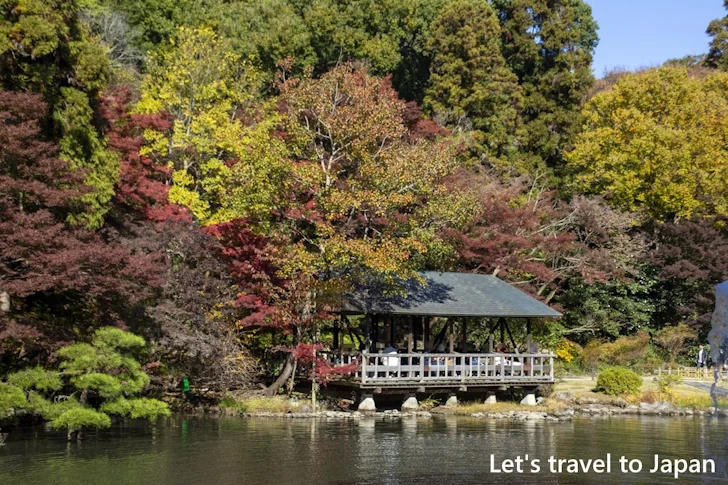 奥池あたりの紅葉：東山動植物園の紅葉の見どころ完全ガイド(26)
