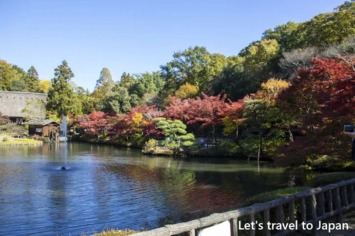 奥池あたりの紅葉：東山動植物園の紅葉の見どころ完全ガイド(27)