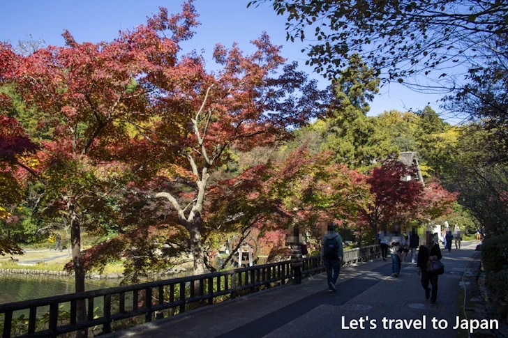 奥池あたりの紅葉：東山動植物園の紅葉の見どころ完全ガイド(31)