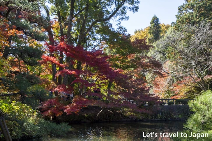 奥池あたりの紅葉：東山動植物園の紅葉の見どころ完全ガイド(33)