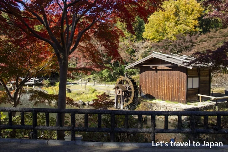 奥池あたりの紅葉：東山動植物園の紅葉の見どころ完全ガイド(34)