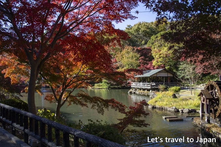 奥池あたりの紅葉：東山動植物園の紅葉の見どころ完全ガイド(35)