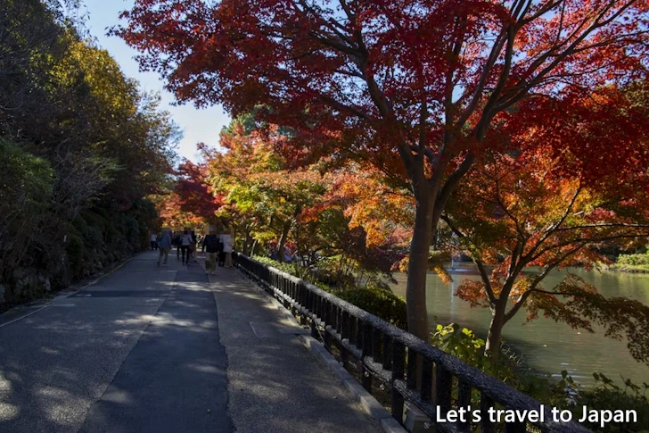 奥池あたりの紅葉：東山動植物園の紅葉の見どころ完全ガイド(36)
