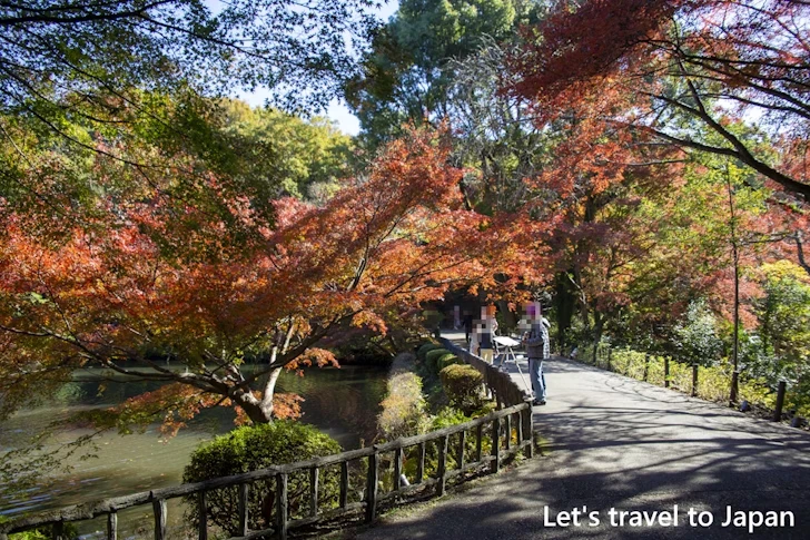 奥池あたりの紅葉：東山動植物園の紅葉の見どころ完全ガイド(39)