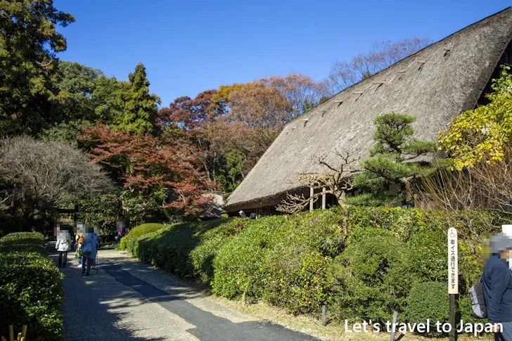 奥池あたりの紅葉：東山動植物園の紅葉の見どころ完全ガイド(40)