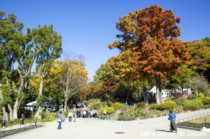 植物園の入り口から奥池まで：東山動植物園の紅葉の見どころ完全ガイド(6)