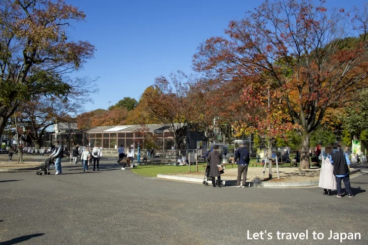 東山動物園の紅葉：東山動植物園の紅葉の見どころ完全ガイド(61)