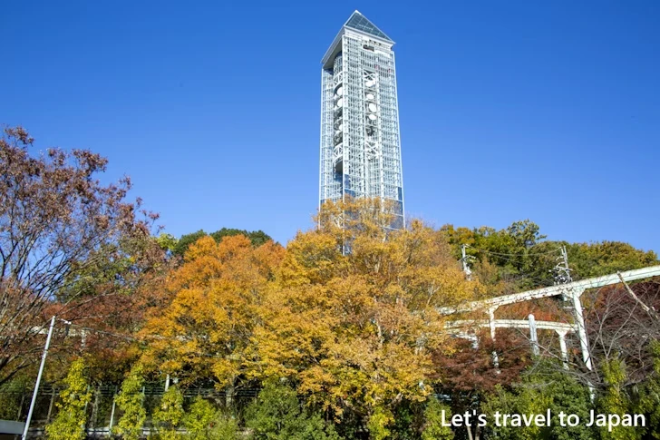 東山動物園の紅葉：東山動植物園の紅葉の見どころ完全ガイド(62)
