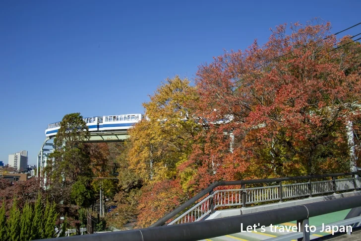 東山動物園の紅葉：東山動植物園の紅葉の見どころ完全ガイド(63)