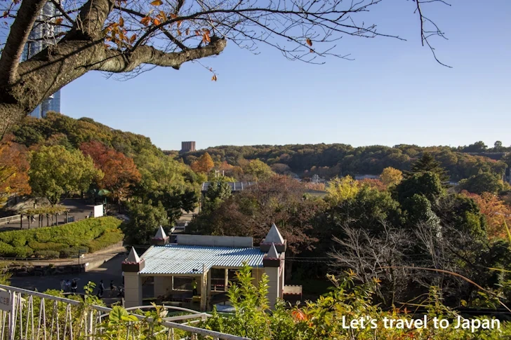 東山動物園の紅葉：東山動植物園の紅葉の見どころ完全ガイド(65)