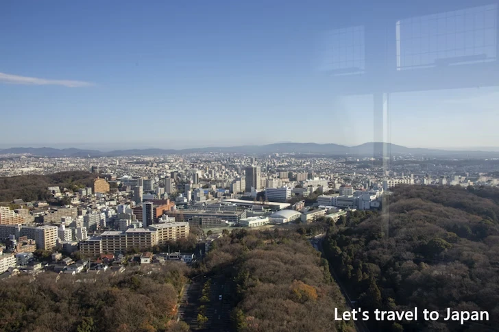 5階展望室：東山スカイタワーの見どころ完全ガイド(12)