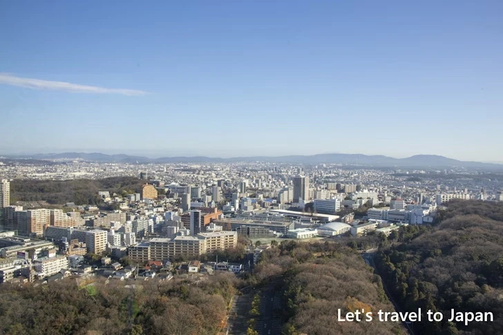 5階展望室：東山スカイタワーの見どころ完全ガイド(14)