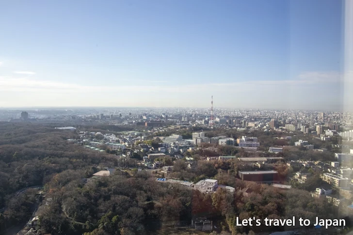 4階展望室：東山スカイタワーの見どころ完全ガイド(15)