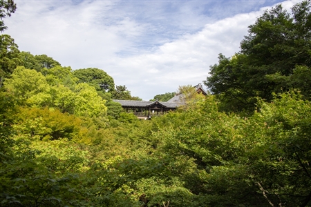 東福寺(102)
